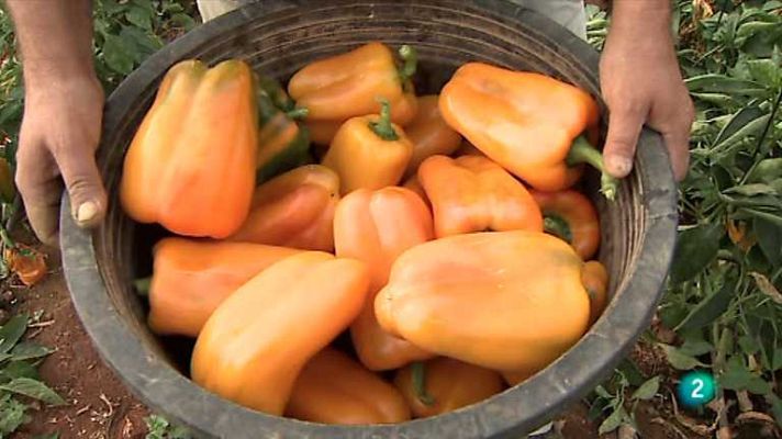 Agrosfera - Agrosfera - 23/02/13