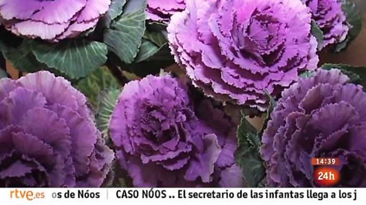 Zoom Tendencias - Ezcaray, una escapada con lustre