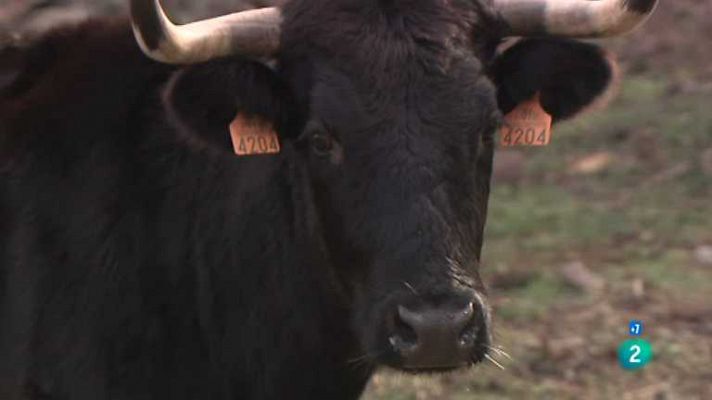 Tendido cero - Tendido cero - 23/02/13