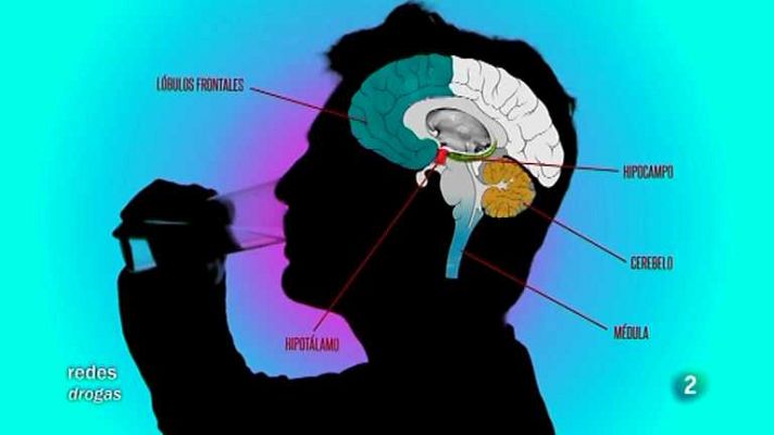 Redes - Moléculas que enganchan