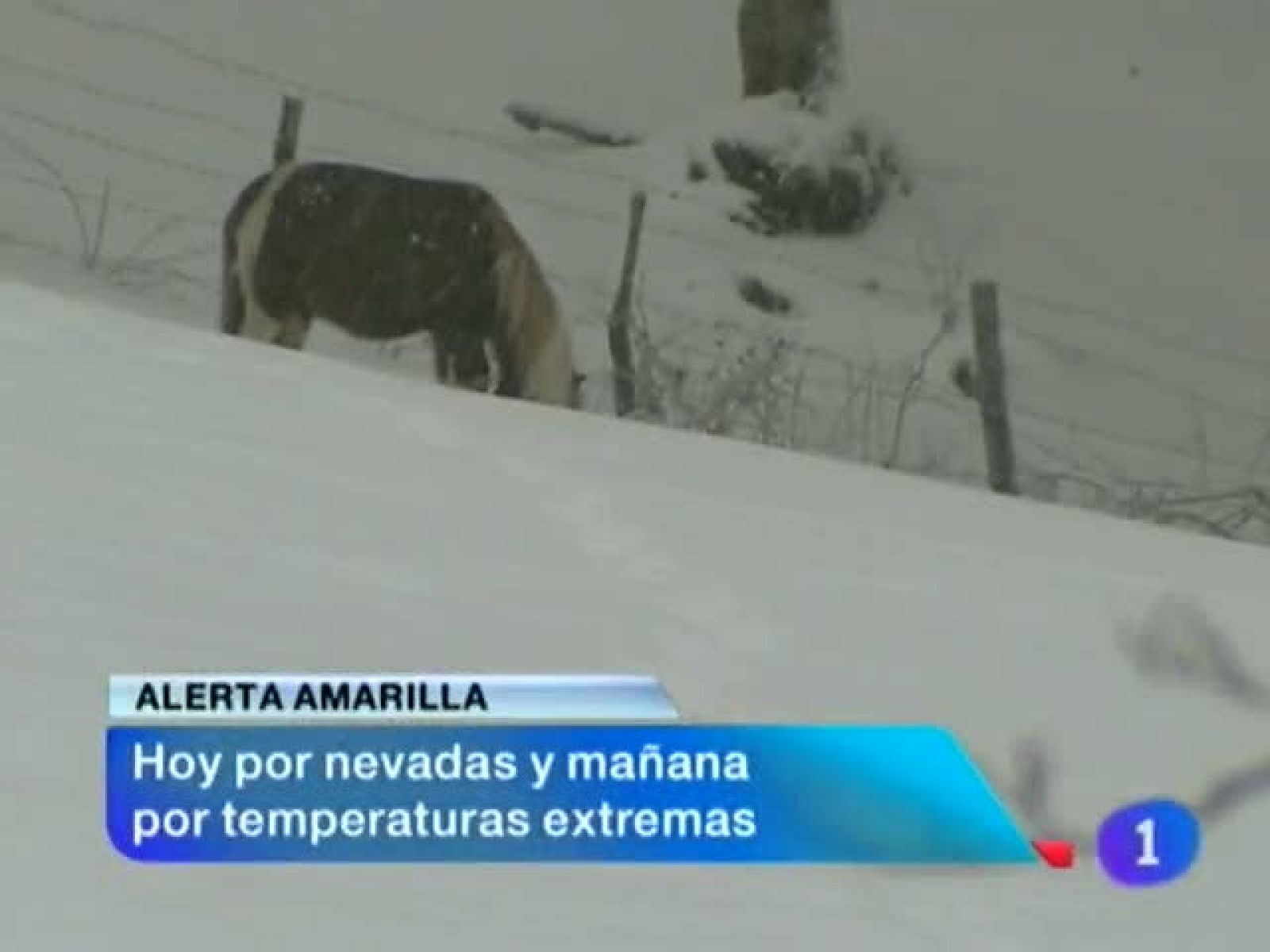 Telenavarra: Telenavarra - 26/02/13 | RTVE Play