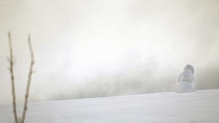 El tiempo - Bajadas de las temperaturas