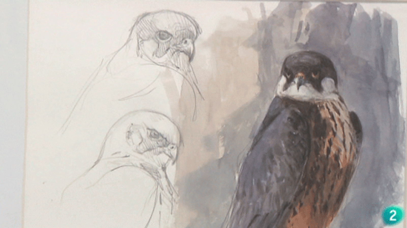 La Aventura del Saber. Juan Varela. Pintor | Ver