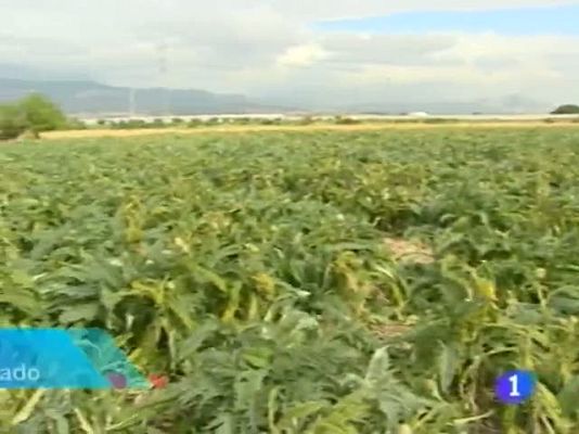 Noticias Murcia - Noticias Murcia.(27/02/2013).