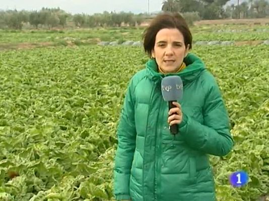 Noticias Murcia - Noticias Murcia 2.(27/02/2013).