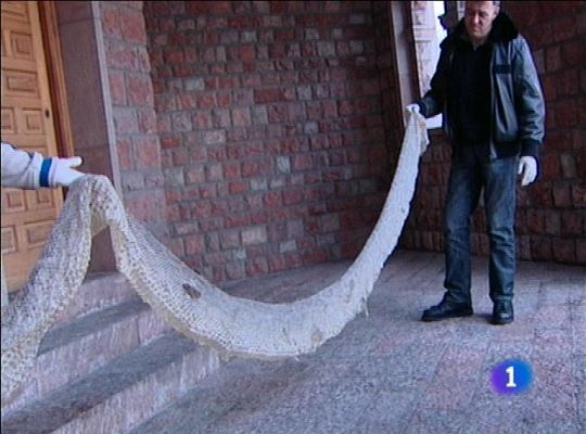 Panorama Regional - Panorama Regional 2 - 27/02/13