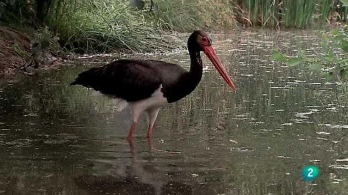 Biodiario - Biodiario - 27/02/13