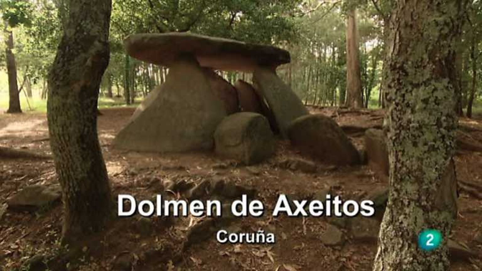 La aventura del saber - 28/02/13 - Ver ahora 