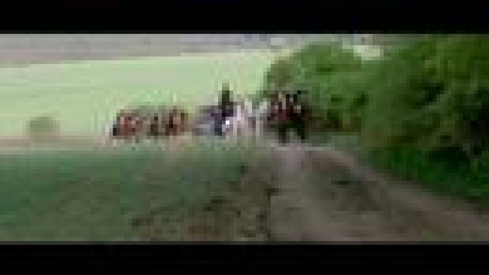 "¿Deséais conocer al rey?" | Ver