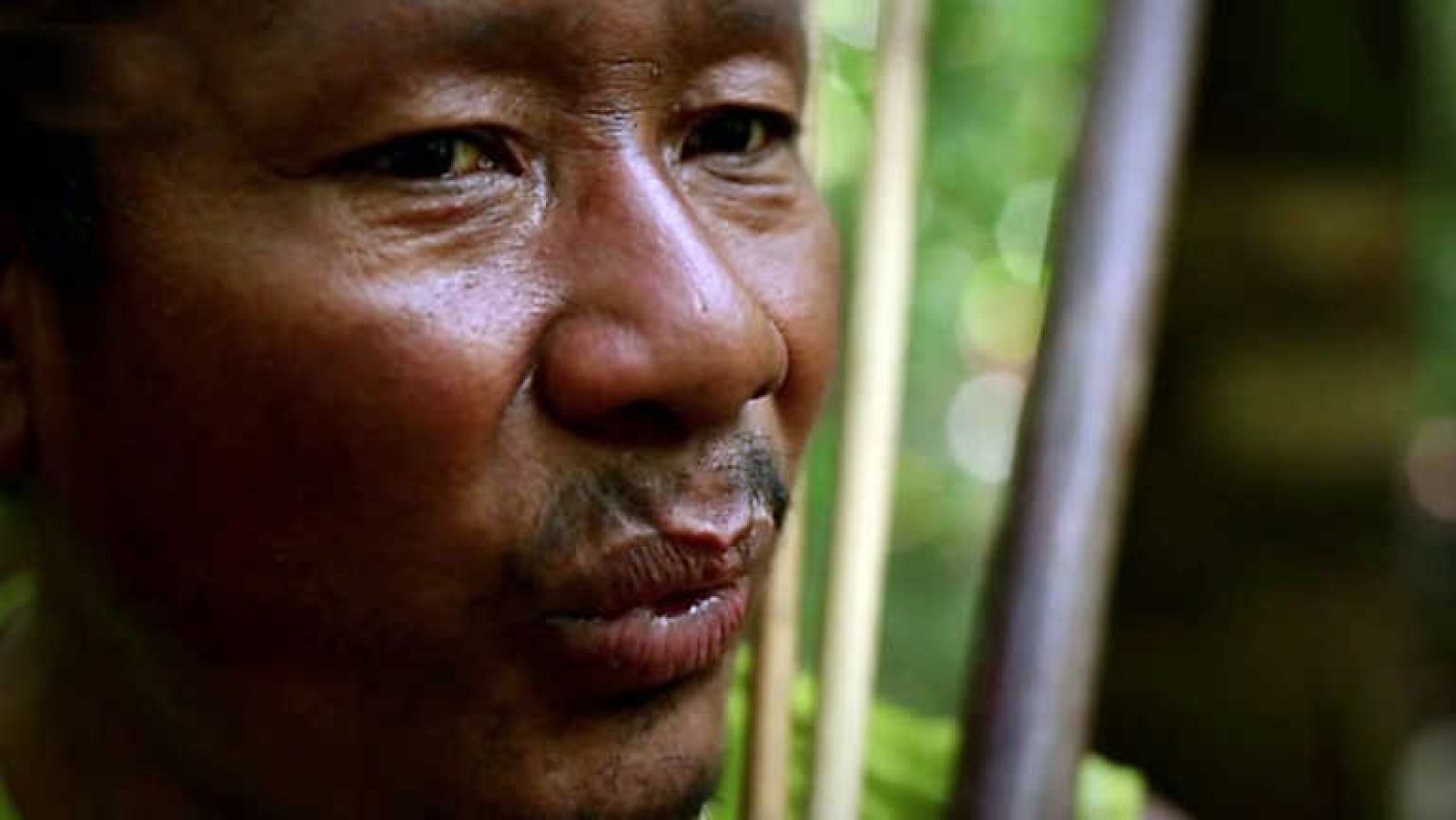 Docufilia - El código de la Amazonía - Ver ahora