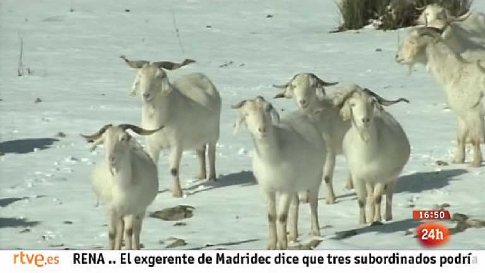 España en 24 horas - 01/03/13 - Ver ahora