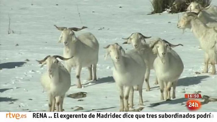 España en 24h - España en 24 horas - 01/03/13