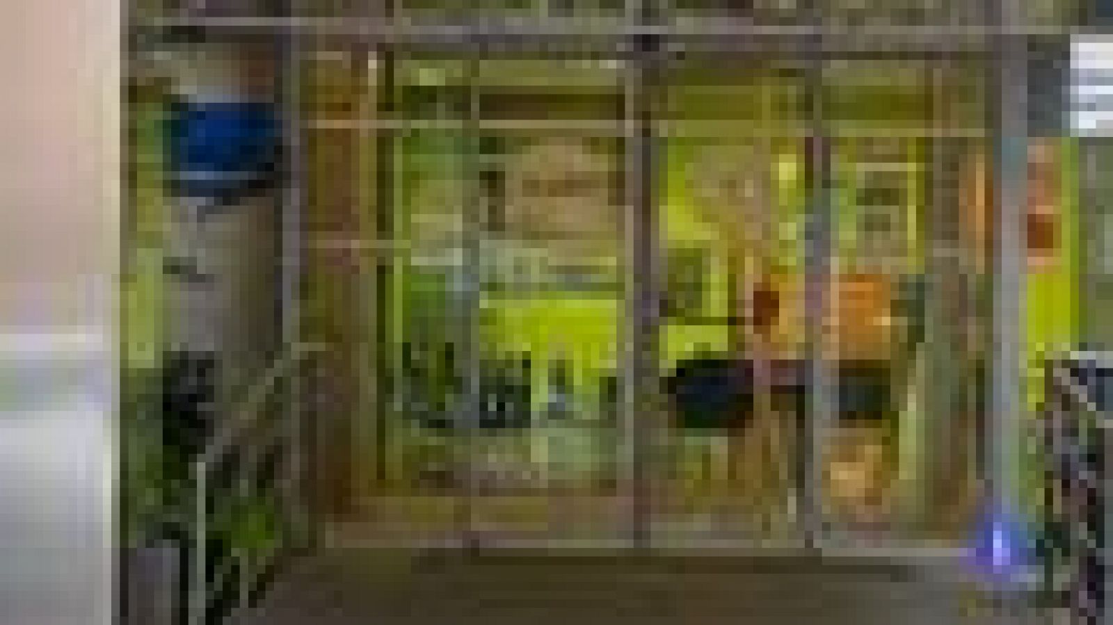 El rey pasó por el hospital el miércoles para resolver una luxación en la cadera izquierda | Ver