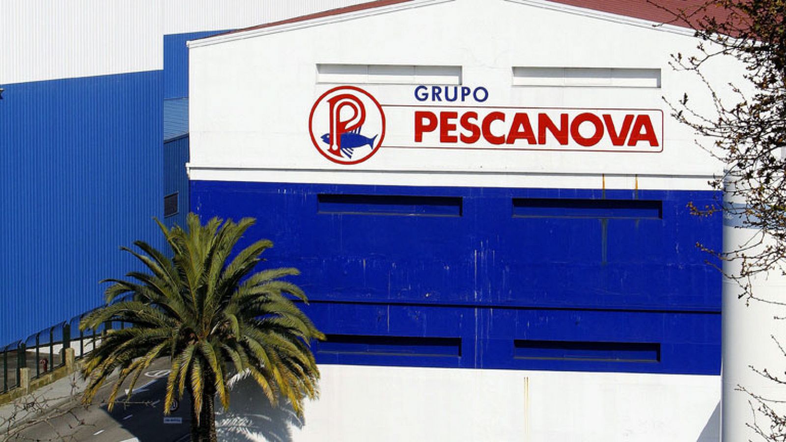 Pescanova entra en preconcurso de acreedores