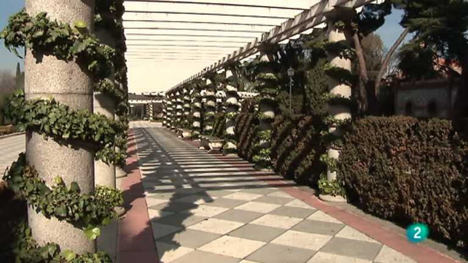 Shalom - Hace 20 años un día como hoy - ver ahora 