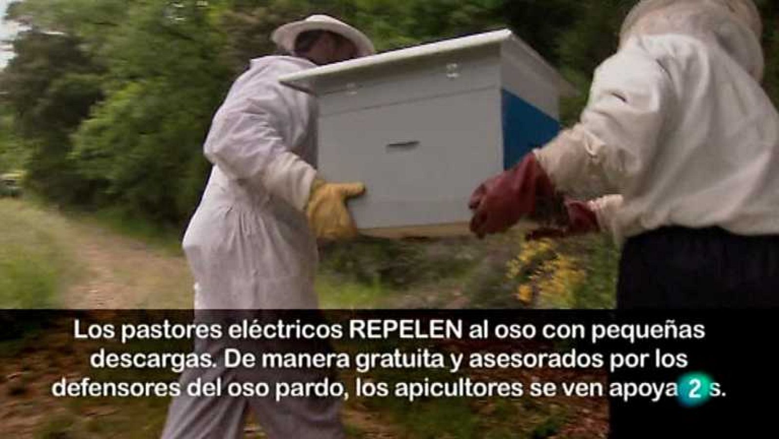 Biodiario - 03/03/13 - ver ahora