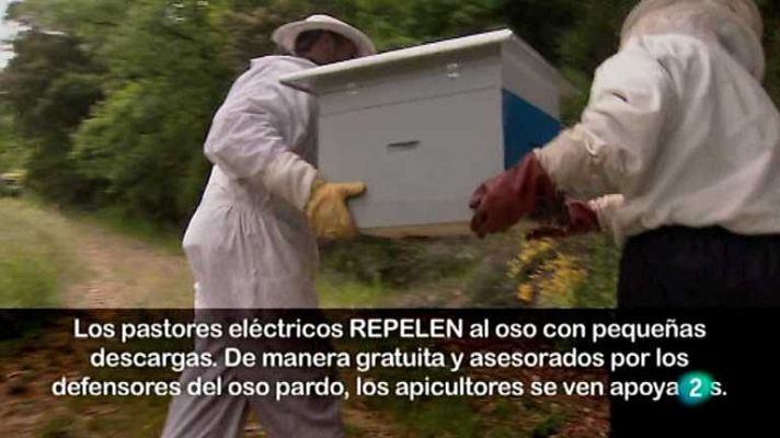 Biodiario - Biodiario - 03/03/13