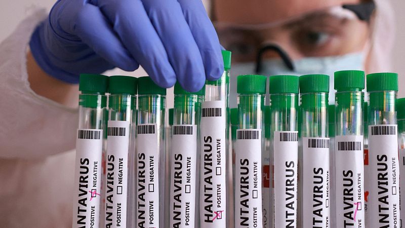 Un matrimonio holandés fallecido, los supuestos pacientes cero de Hantavirus