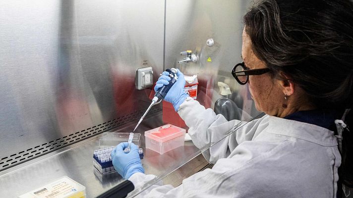 Ushuaia, origen del crucero con hantavirus | Ver