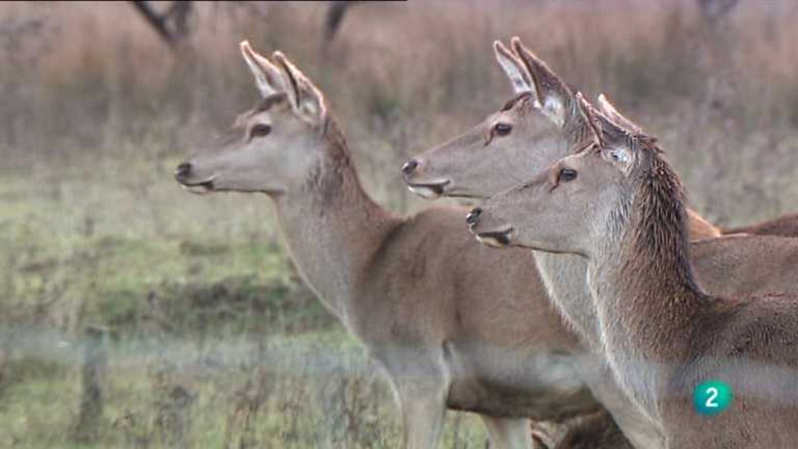 La aventura del saber - 04/03/13 - ver ahora