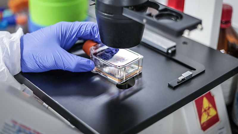 El hantavirus que ha provocado el brote del MV Hondius es el mismo que ya se conocía - Telediario 1 | Ver