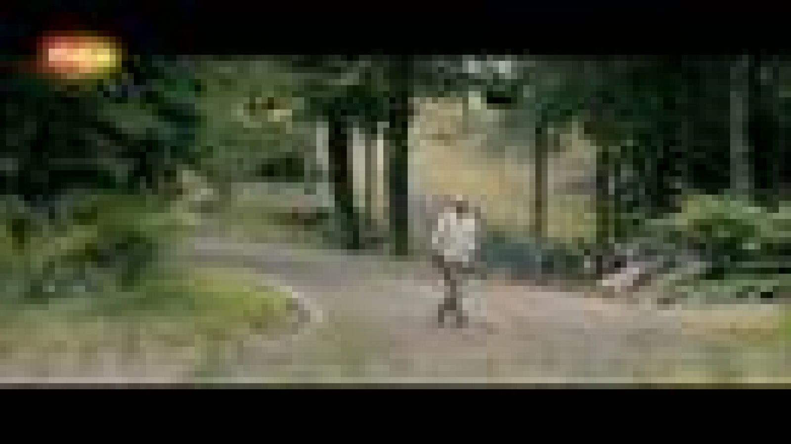 Tráiler de 'Un amigo para Frank' | Ver