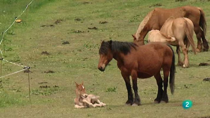 Para todos La 2 - Para todos La 2 - 04/03/13