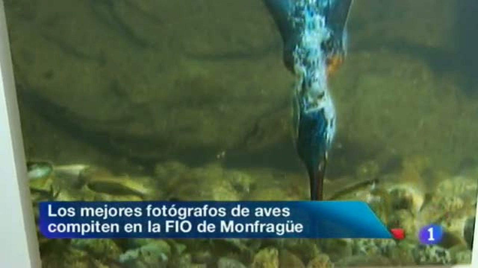 Noticias de Extremadura - 04/03/13 | Ver