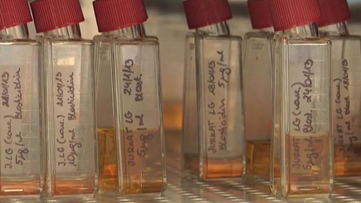 Telediario 1 - ¿El primer curado de SIDA?