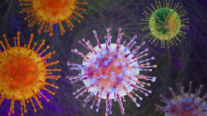 ¿Por qué el hantavirus afecta de forma distinta a cada persona? - Telediario 2 | Ver