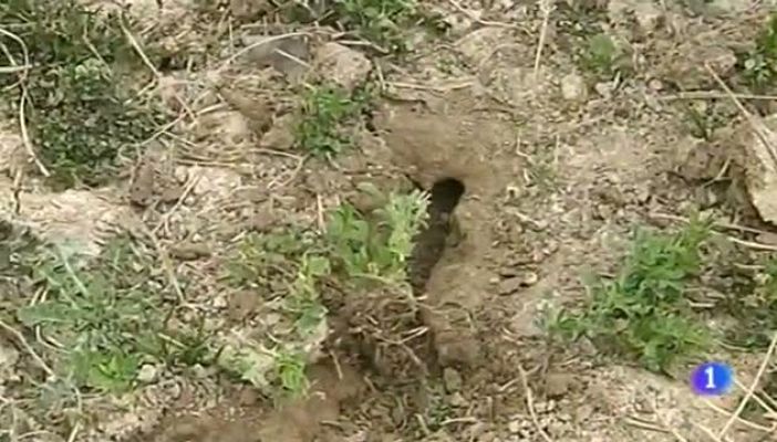 Noticias Aragón - Noticias Aragón - 04/03/13