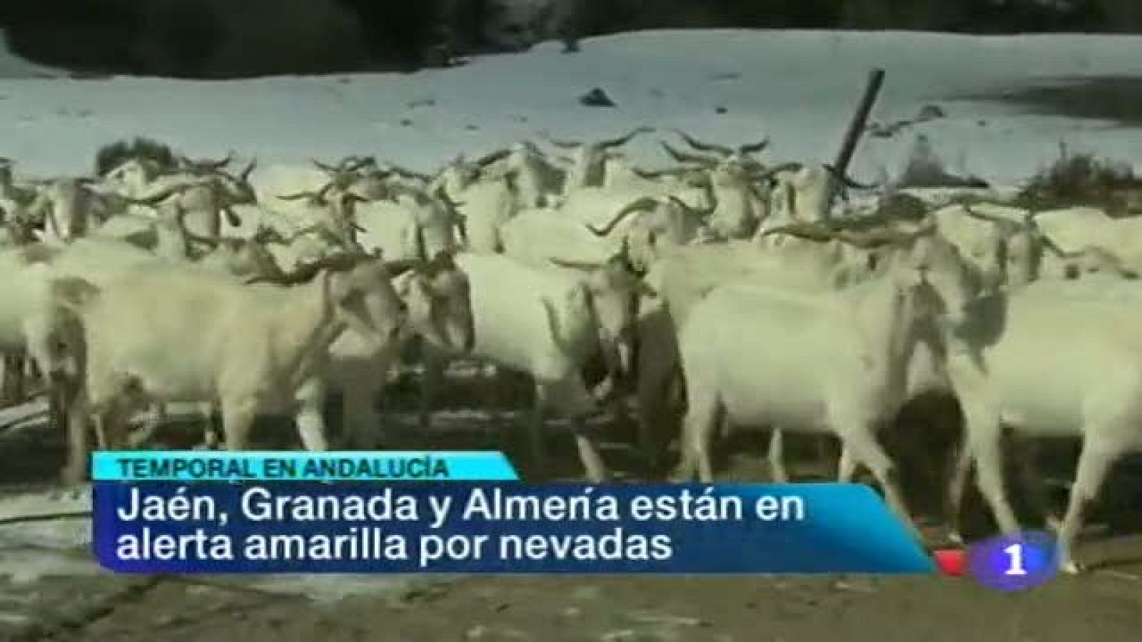 Noticias Andalucía 2 - 01/03/2013 | Ver
