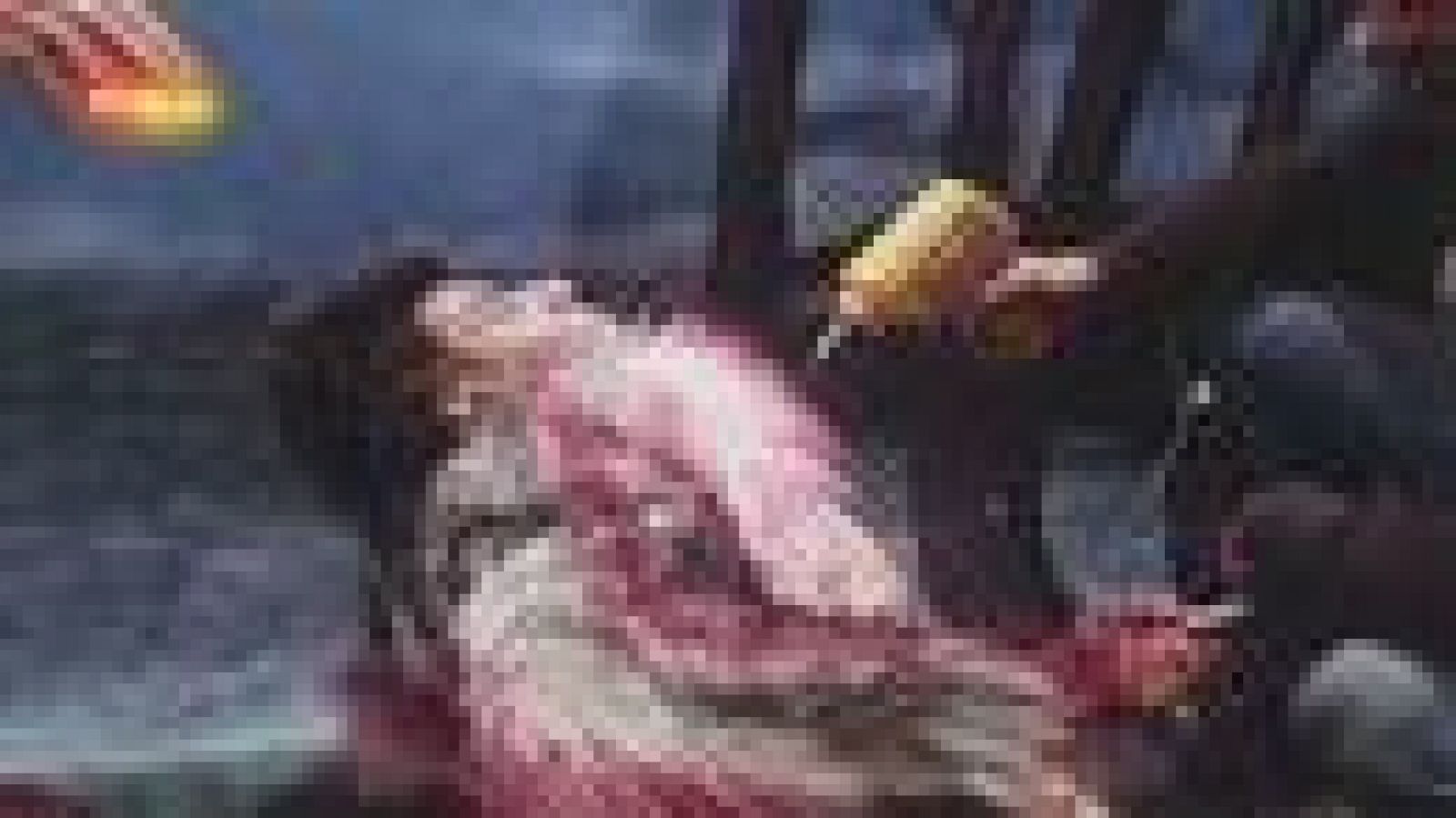 Mi secuencia de Almodóvar - Carlos Areces | Ver