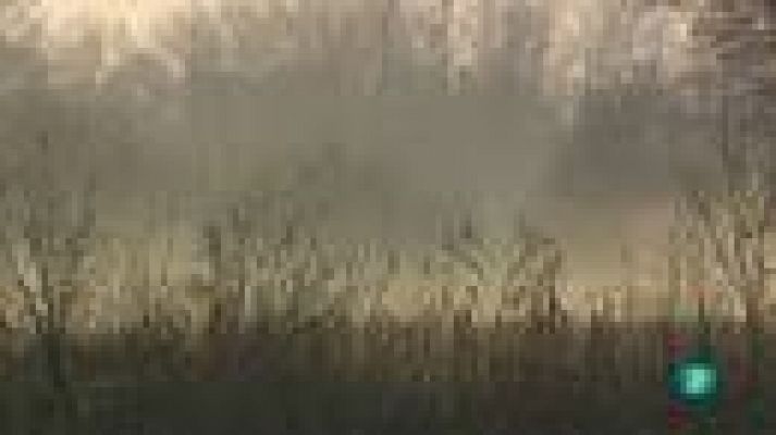 La aventura del Saber - La Aventura del Saber. Salburua