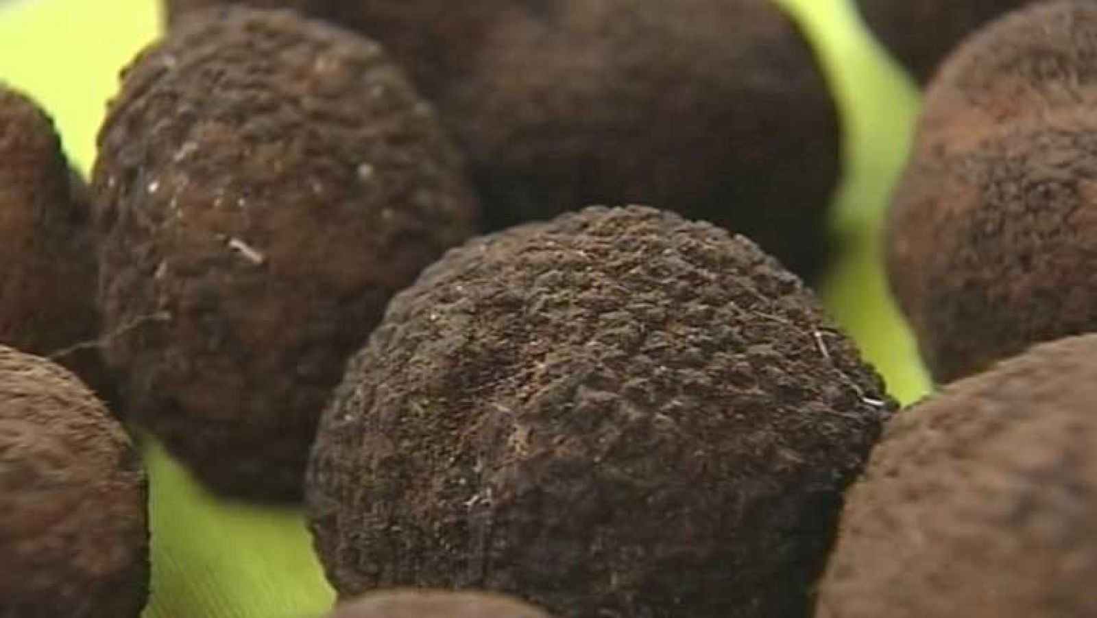 Tercer congreso mundial sobre la trufa en Teruel