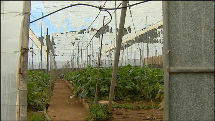 +Canarias - + Canarias - 05/03/13