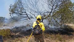 Enrique Mateos, presidente del Consejo de Participación de Doñana: "El incendio afecta a ecosistemas tremendamente importantes"