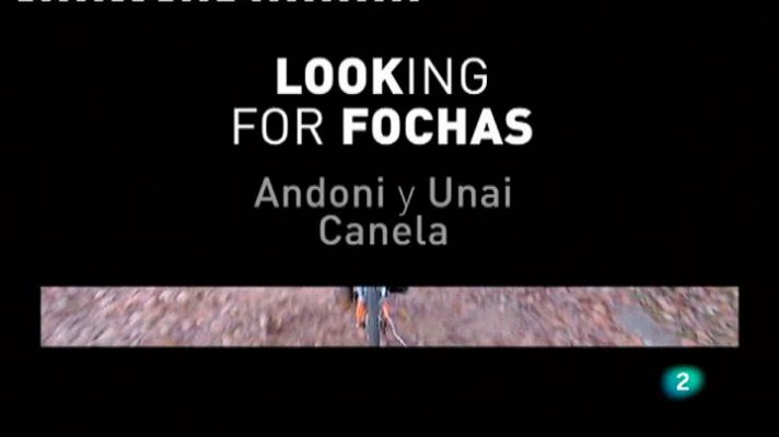 "Looking for fochas"