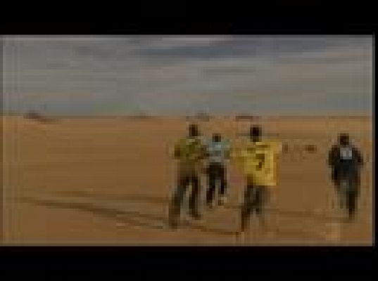 Versión española - La gran final