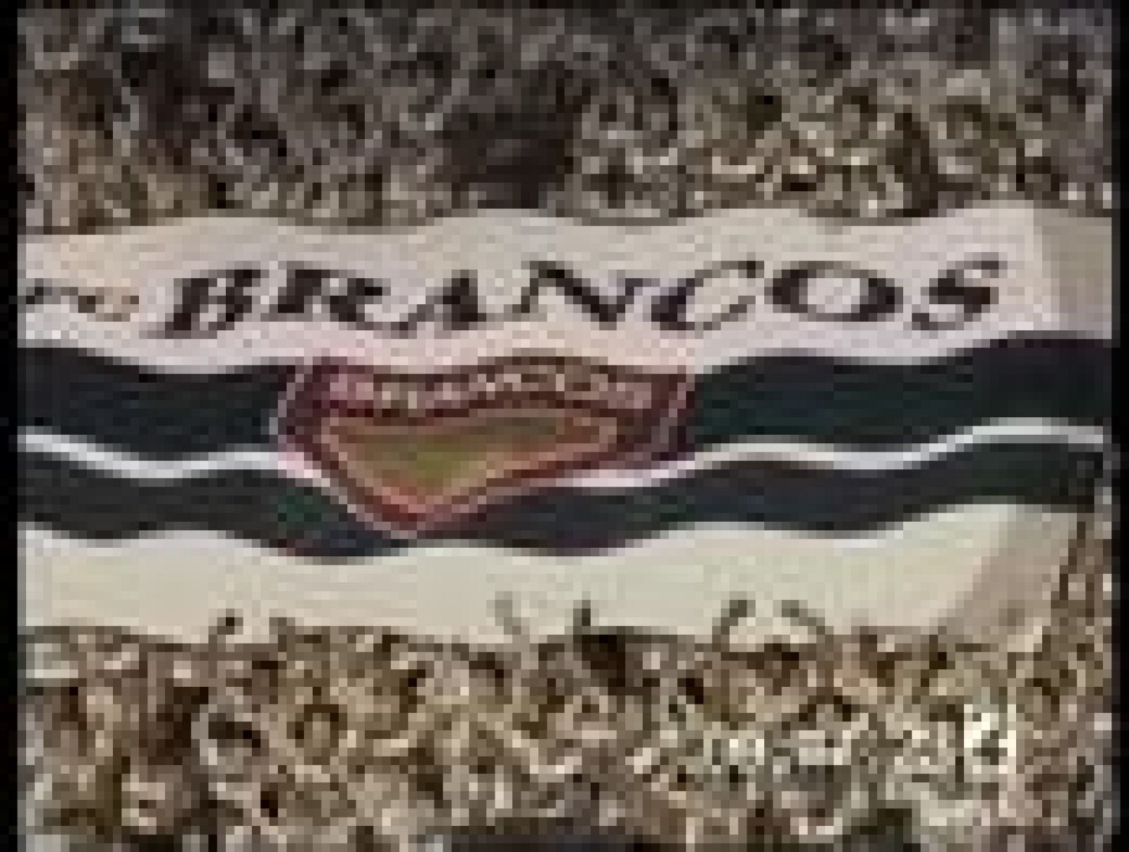 Cap25. Campeones hacia el Mundial: Oliver y Benji 