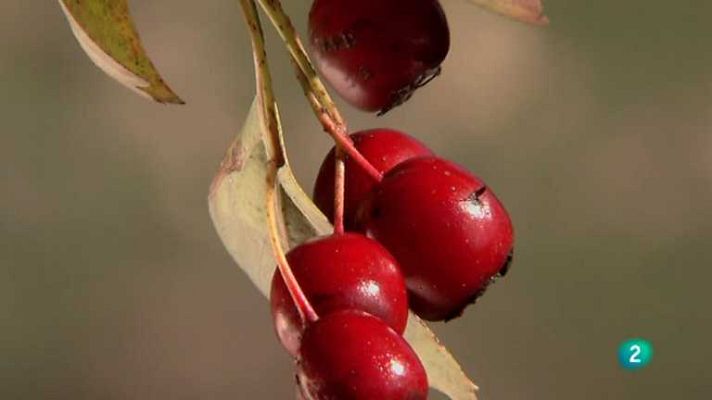 Biodiario - Biodiario - 06/03/13