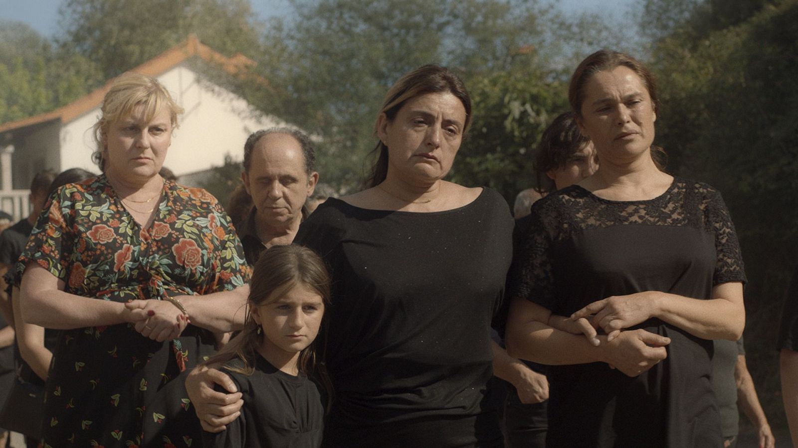 Ànima Viva - Cinema en català - Cinema en català | Veure pel·lícula