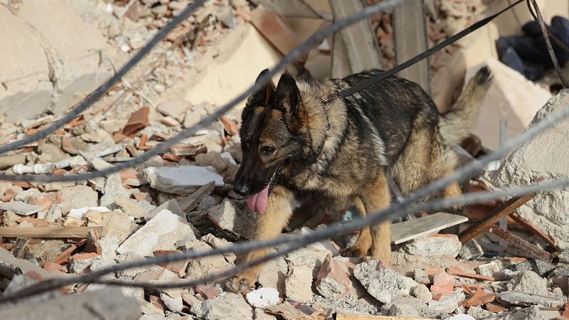 Así busca la UME supervivientes bajo los escombros en la zona cero del terremoto en Venezuela - Fin de semana 24h | Ver