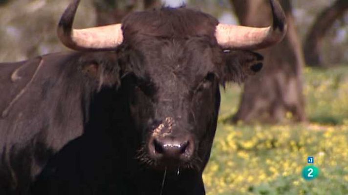 Tendido cero - Tendido cero - 09/03/13