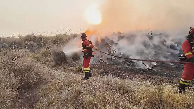 Román García, bombero forestal: "En un incendio, hay que mantener la cabeza fría" - La hora de La 1 | Ver