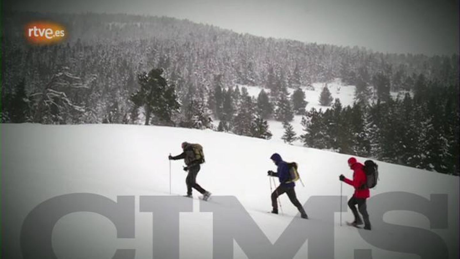  Cims -  Roger Mas puja a la Torreta de l'Orri 