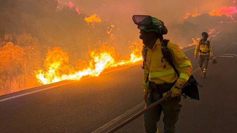 Mueren al menos 12 personas en el incendio de Los Gallardos, Almería