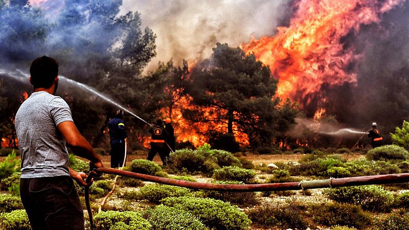 Los peores incendios del siglo en Europa: Grecia y Portugal - Informativo 24h | Ver