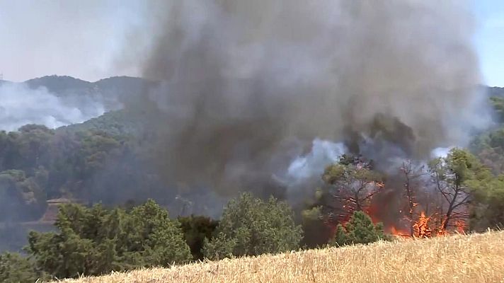 ¿Por qué se están produciendo tantos incendios este verano? - Noticias Aragón | Ver