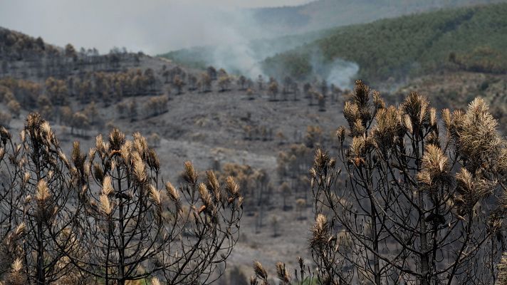 El incendio de Guadalajara calcina 13.000 hectáreas y el de Zaragoza se estabiliza
